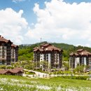 풀베르데 이미지