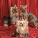 체력단련 이미지