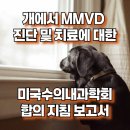 Pro켄넬 | 개에서 점액성 승모판 질환 진단 및 치료를 위한 ACVIM 합의 지침
