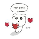 안경진정성 강릉중앙로점 이미지