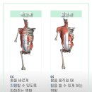 율스킨바디 네이버블로그