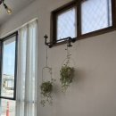 봄pasta 이미지