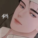 솔체 이미지