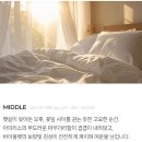 블루밍노트