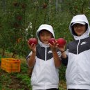 삼정농원 이미지