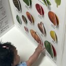 마루별 | 시기별 아기병풍 추천| 엔밀리밀리 터미타임 아기병풍 &amp; 마루별 놀이병풍(활용꿀팁, 차이점,사용시기)