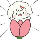 캠핑주막 이미지