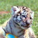 중앙스포츠랜드 이미지