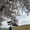 [경주여행] 첨성대, 대릉원, 천마총 관광 신라한복 무료체험