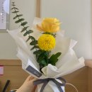 말고 :: 유유샤브 군자, 올유메디컬의원 국가건강검진...이벤트, 범죄도시4 후기, 북창동 순두부 동대문점