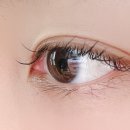 안경나라사창점 위드렌즈 이미지