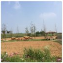 안성수산 이미지