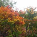 사랑가든 이미지