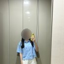 이노드센트 이미지