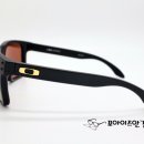 포아이즈 이미지