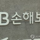 DB 손해보험