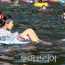 청정계곡 이미지