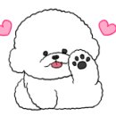 뭉구 애견 이미지