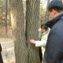 이목중학교 이미지