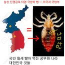 머리재빌딩 이미지