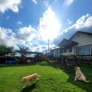 행복한그림이 이미지