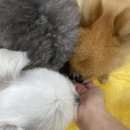 송산유치원 이미지