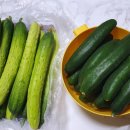 삼칠농장 이미지