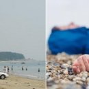독산해수욕장 이미지