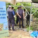 샤인컨설팅