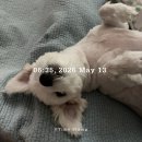 원탑주유소 | May ③