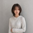 보그헤어 목동점