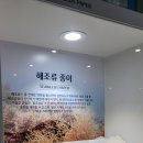 해조류센터 | 완도군 해조류 센터 ! 제주 배편 여행 여객터미널 미리 도착했다면 갈만한 곳 완도 해조류 센터