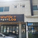 로아스시 이미지