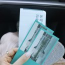 우리삶옥당문화박물관 | 제주 본태박물관 개관전과 안도 타다오의 푸른 사과, 청춘