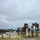 하수해수욕장 동쪽주차장 | 제주 동쪽 여행 , 함덕 해수욕장부터 서우봉 둘레길 유채꽃까지