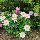 선원2길 이미지