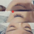 도도beauty