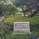 대구 경상감영 선화당 | 대구보물(경상감영공원 선화당)