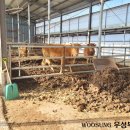 한림축사 이미지