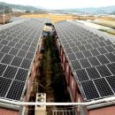 창해태양광발전소 이미지