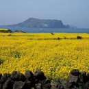 제주미향해장 이미지