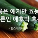 애호박 효능 보관방법 궁합이 좋은 음식 이미지