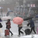 제주도 물폭탄 시작됐다…반나절새 190㎜ 퍼부어 이미지