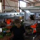 호주 농장 이미지