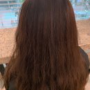 아라헤어(hair)
