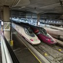 더클릭 | 마드리드 → 그라나다 이동, 렌페 후기 + 예약방법 (렌페 / 오미오 / 레일클릭 비교)