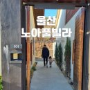 평원애견 | 울산 노아풀빌라 펜션 애견동반 101호 가격 객실 후기
