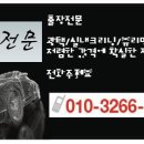 신차유리막코팅전문 Daum카페