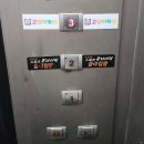 (유)익산 엑스마트 | 익산 고양이 키즈카페 아이캣유, 넓은 규모의 실내 데이트 코스