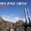 강진5호 이미지